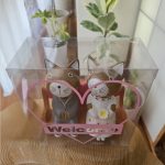 ウェディングドール猫